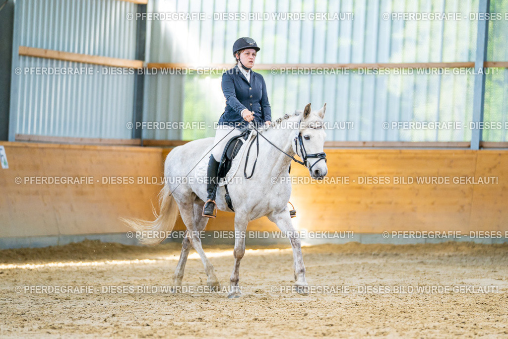 DSC06924 | Pferdegrafie