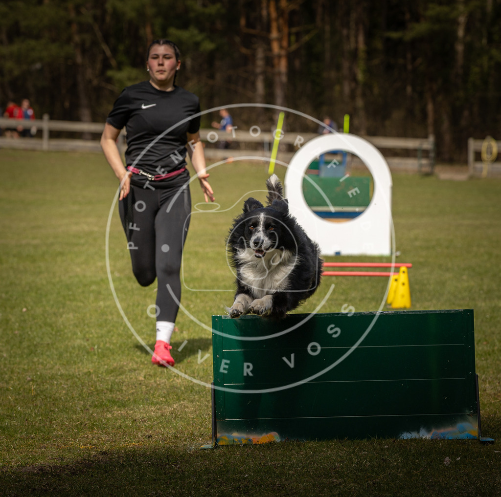 Pfotenfotografie_DV3A6026 | Hundefotografie, Tierfotograf, Pfotenfotografie, Fotoshooting Hund, Hunde Portrait, Hundesport, Hundeportraits, Heideshooting, Hunde, Sportfotograf, Hundefotograf, Turnierhundsport, THS,  - Realisiert mit Pictrs.com
