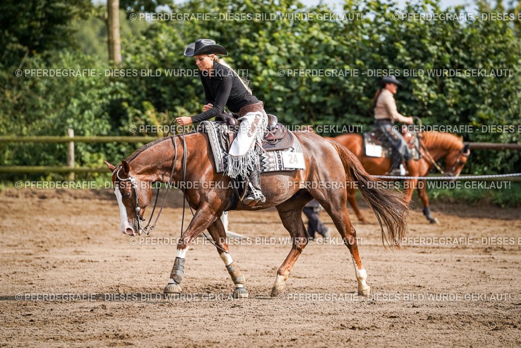 DSC09685 | Pferdegrafie