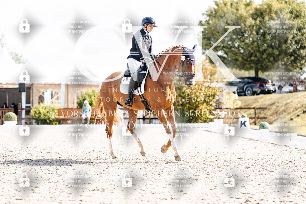 CK902493 | Turnierfotografie Pferdefotografie Trier Rheinland-Pfalz Pferdesport Reitsport Tierfotografie Sportfotografie Pferdevideo Pferdevideografie Equestrianvideography equestrianphotography  - Realisiert mit Pictrs.com