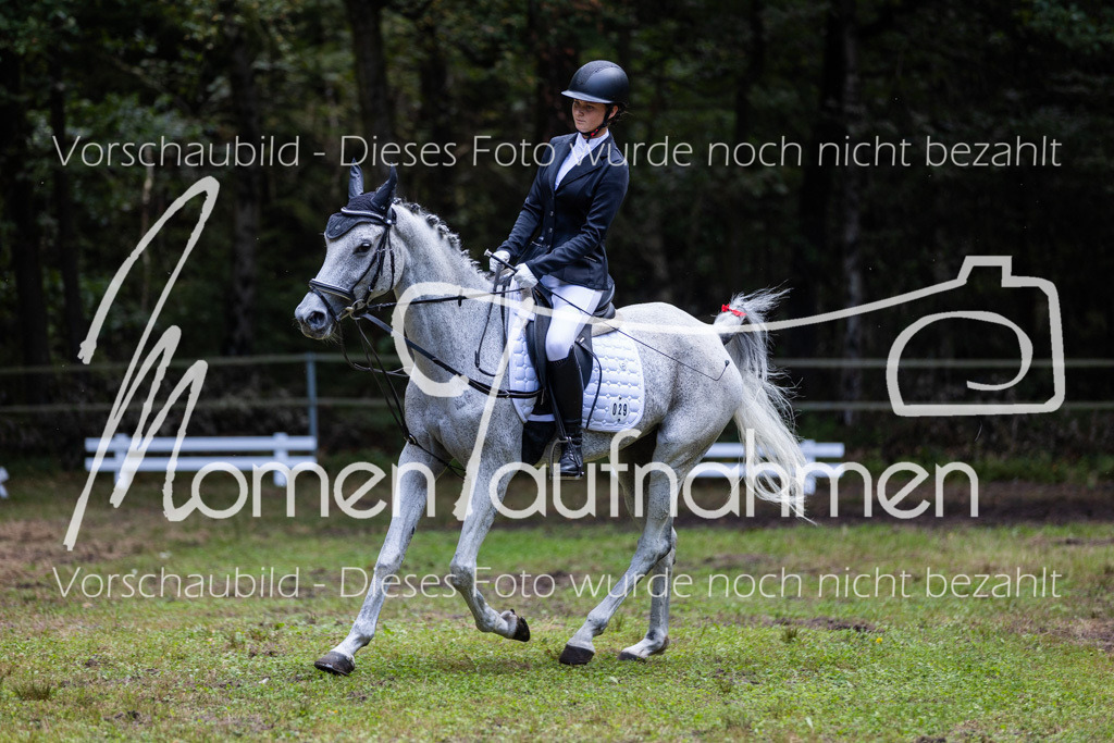 HB-Dressur-WB-035 | MomenTaufnahmen Pferdesportfotos