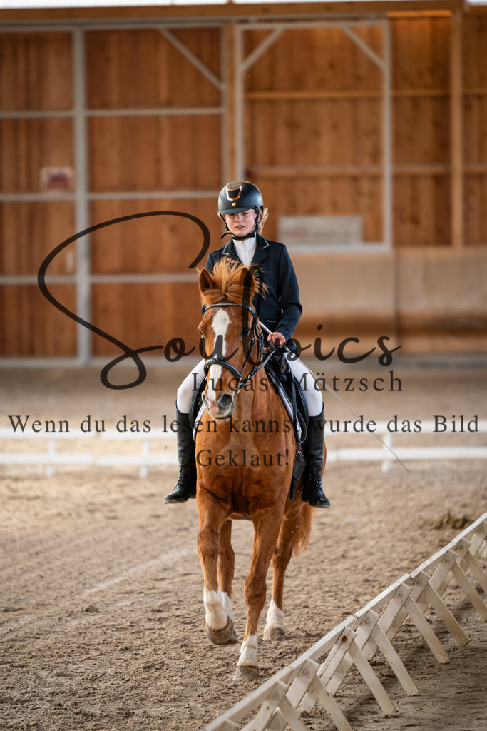 A7V09091 | Pferdefotograf