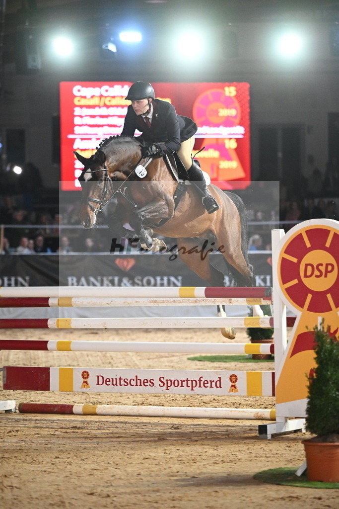 Cape Calidus_2241938 | hf-fotografie - Realisiert mit Pictrs.com