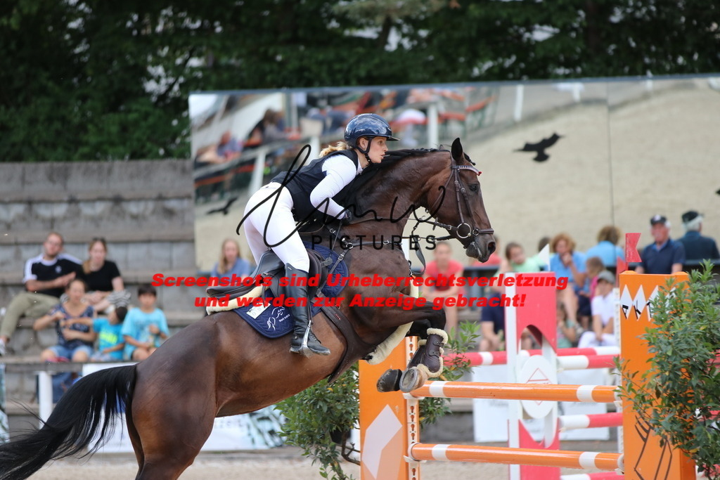 IMG_0251 | lmwpictures - Realisiert mit Pictrs.com