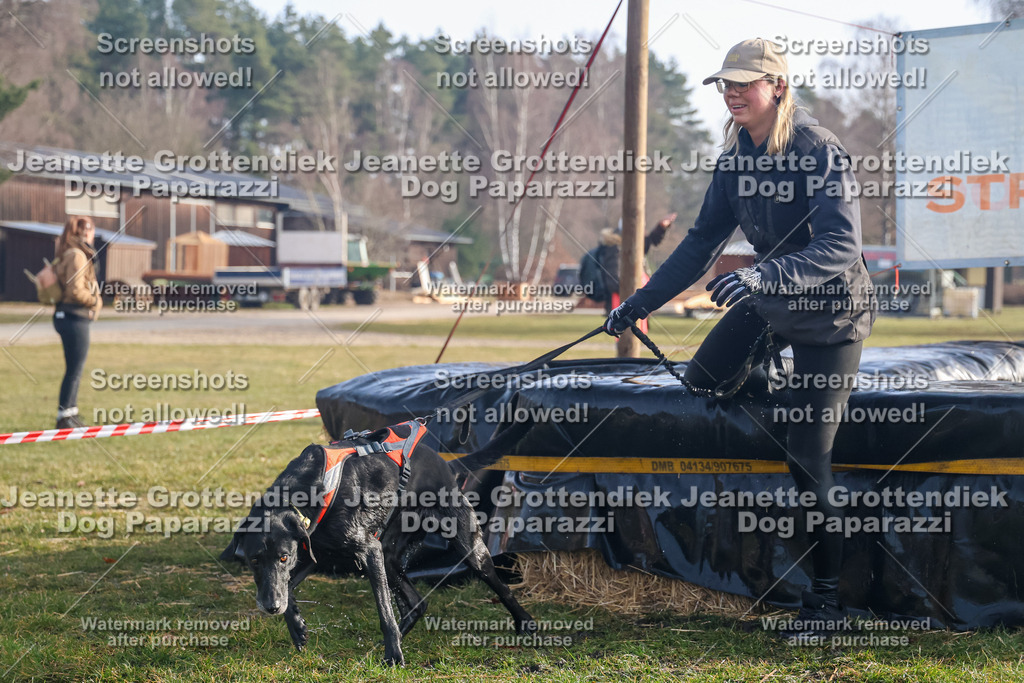 Dog Paparazzi - Strongdog North Mrz26-81 | Dog Paparazzi Jeanette Grottendiek Fotografie & Videografie - Realisiert mit Pictrs.com