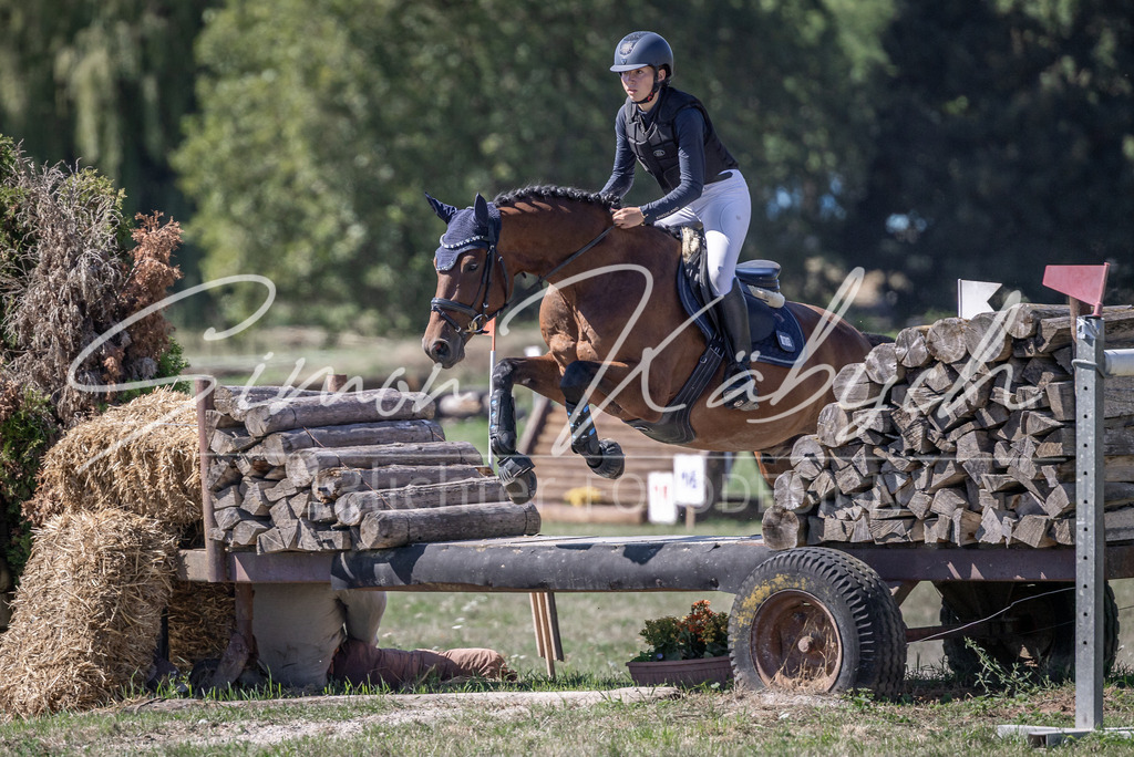 20260906-_3LI3828 | Tierfotografie Pferde, Hunde, Katzen, Haustiere.
Turnierfotografie Reitturniere, Reiten, Springreiten, Dressur in Hanau, dem Main-Kinzig-Kreis und dem Rhein-Main- Gebiet um Frankfurt