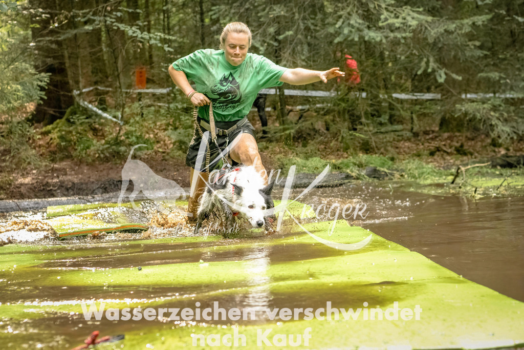 1412_ZZ91471-Bearbeitet | kk-dogfotos
