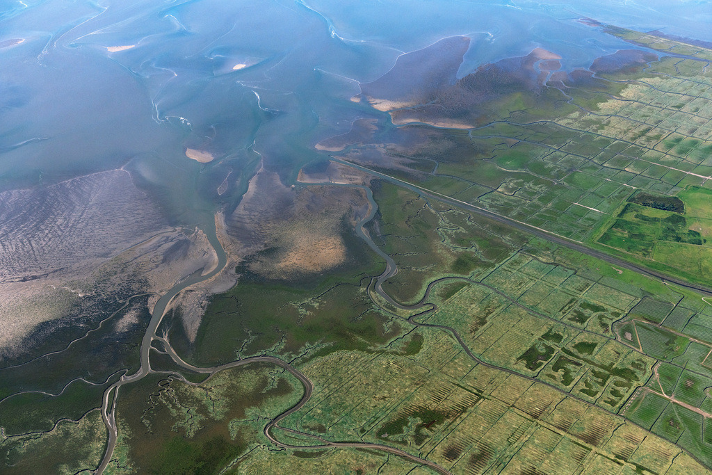 dr__0202375.jpg | FRIEDRICHSKOOG 06.09.2023 Salzwiesen mit brauner Vegetation im Nationalpark Wattenmeer der Nordsee in Friedrichskoog im Bundesland Schleswig-Holstein. Priele durchziehen das Deichvorland südwestlich der Ortschaft Friedrichskoog. 