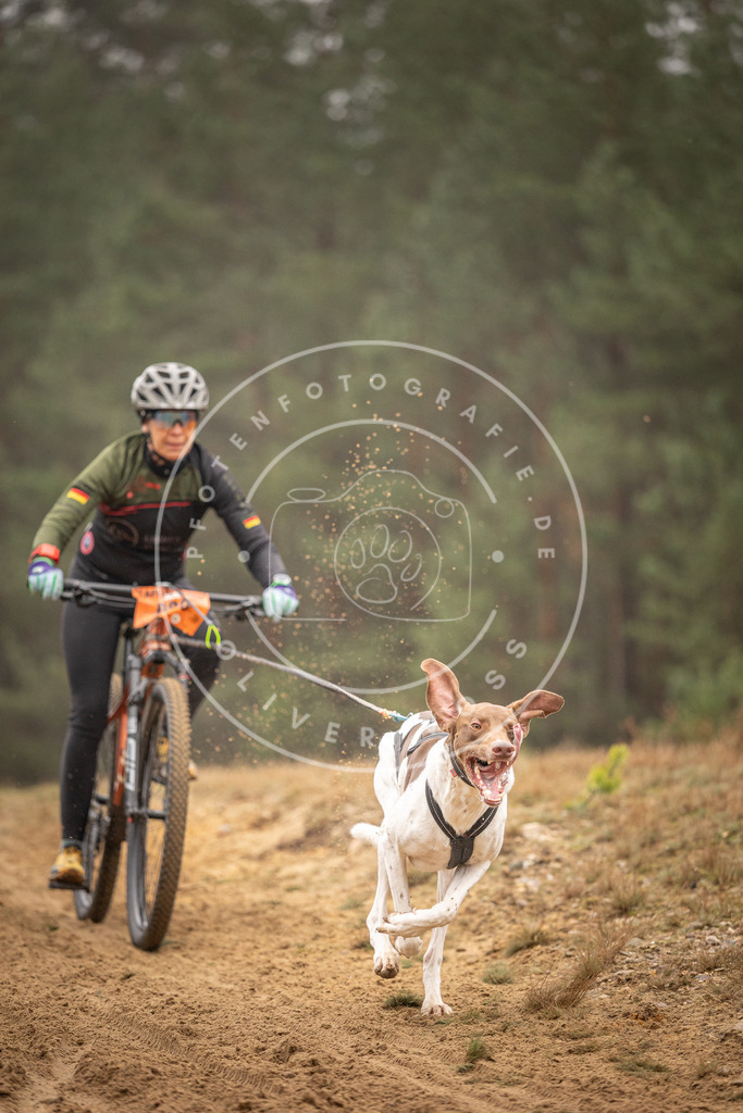 Pfotenfotografie_DV3A3125 | Hundefotografie, Tierfotograf, Pfotenfotografie, Fotoshooting Hund, Hunde Portrait, Hundesport, Hundeportraits, Heideshooting, Hunde, Sportfotograf, Hundefotograf, Turnierhundsport, THS,  - Realisiert mit Pictrs.com