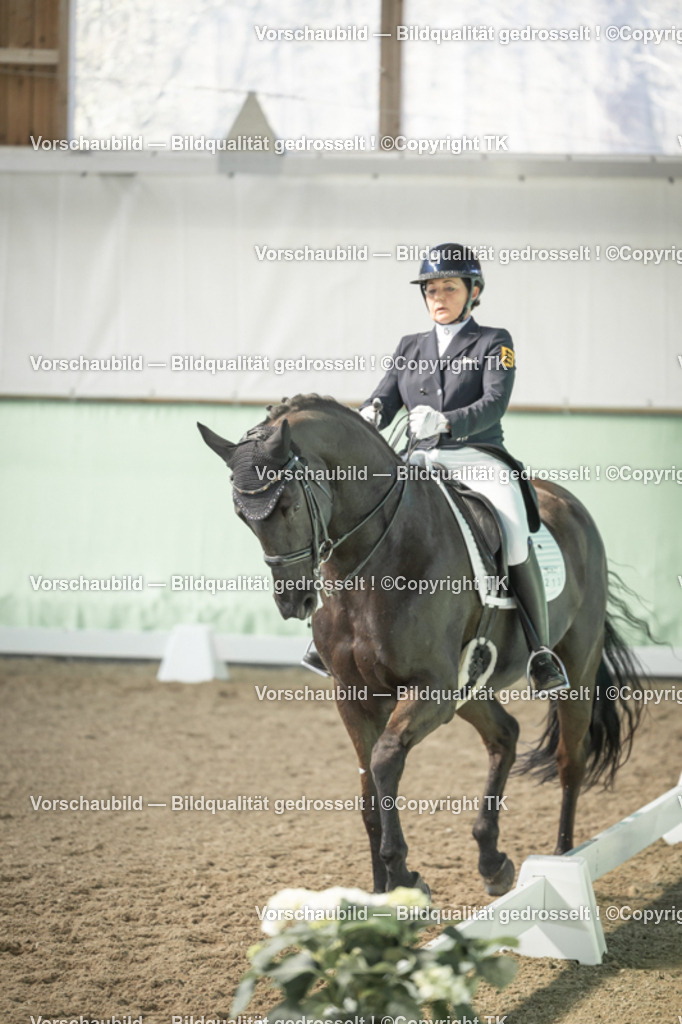 _D5A1553 | Emotionale Pferde- & People-Fotografie rund um Heidelberg, Leimen & Umgebung. Natürliche Fotos von Pferd, Mensch & Familie. Jetzt Termin sichern!