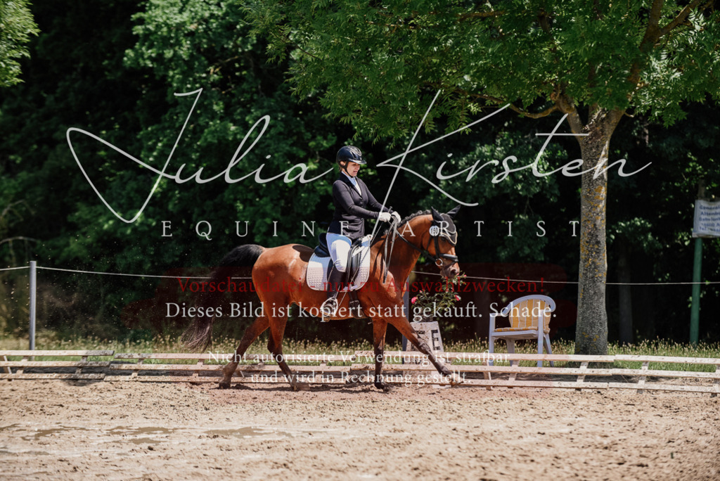 DSC_1903 | Pferde- und Turnierfotografie in Westsachsen. Pferdeportraits, Auftragszeichnungen und intuitive Kunst.