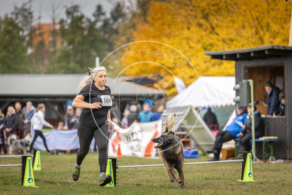 Pfotenfotografie_DV3A5477 | Hundefotografie, Tierfotograf, Pfotenfotografie, Fotoshooting Hund, Hunde Portrait, Hundesport, Hundeportraits, Heideshooting, Hunde, Sportfotograf, Hundefotograf, Turnierhundsport, THS,  - Realisiert mit Pictrs.com