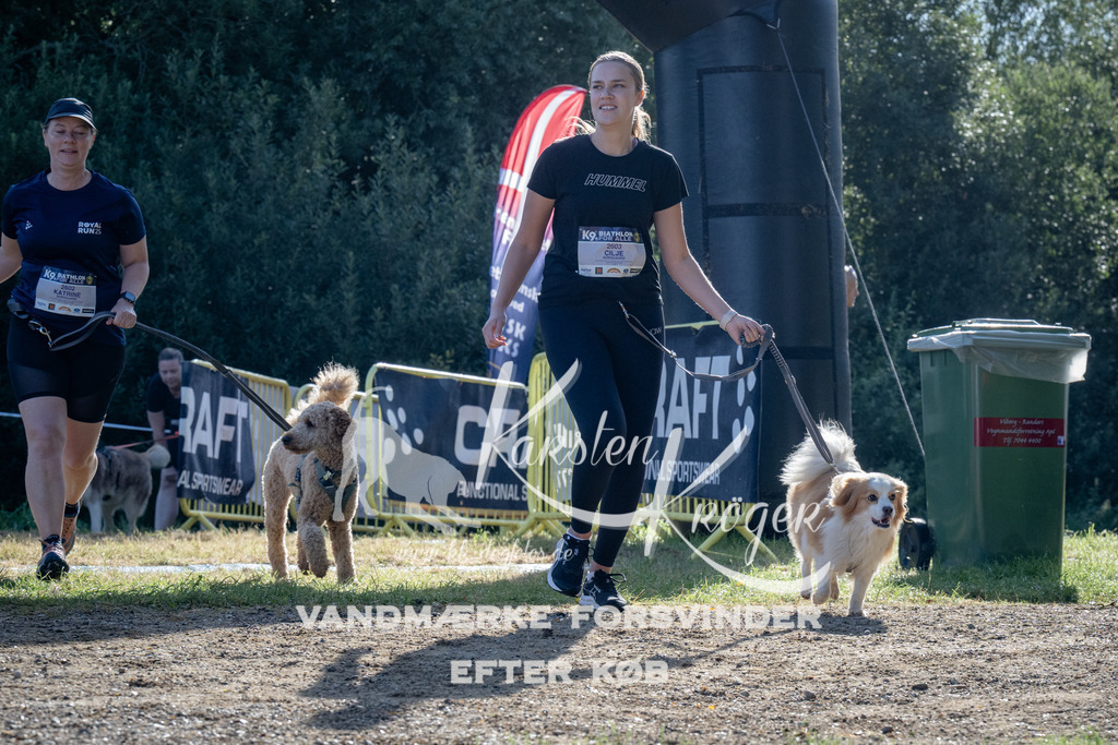 0913_ZZ94559 | kk-dogfotos