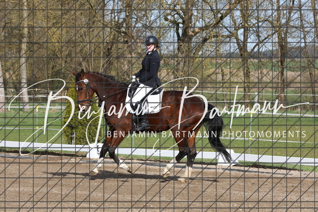 AZ2A2826 | Benjamin Bartmann Photomoments