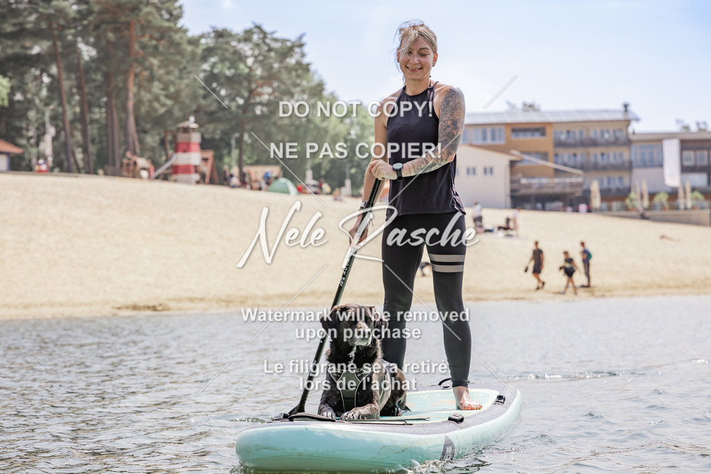 BUHU_SUP_619 | nelerasche
