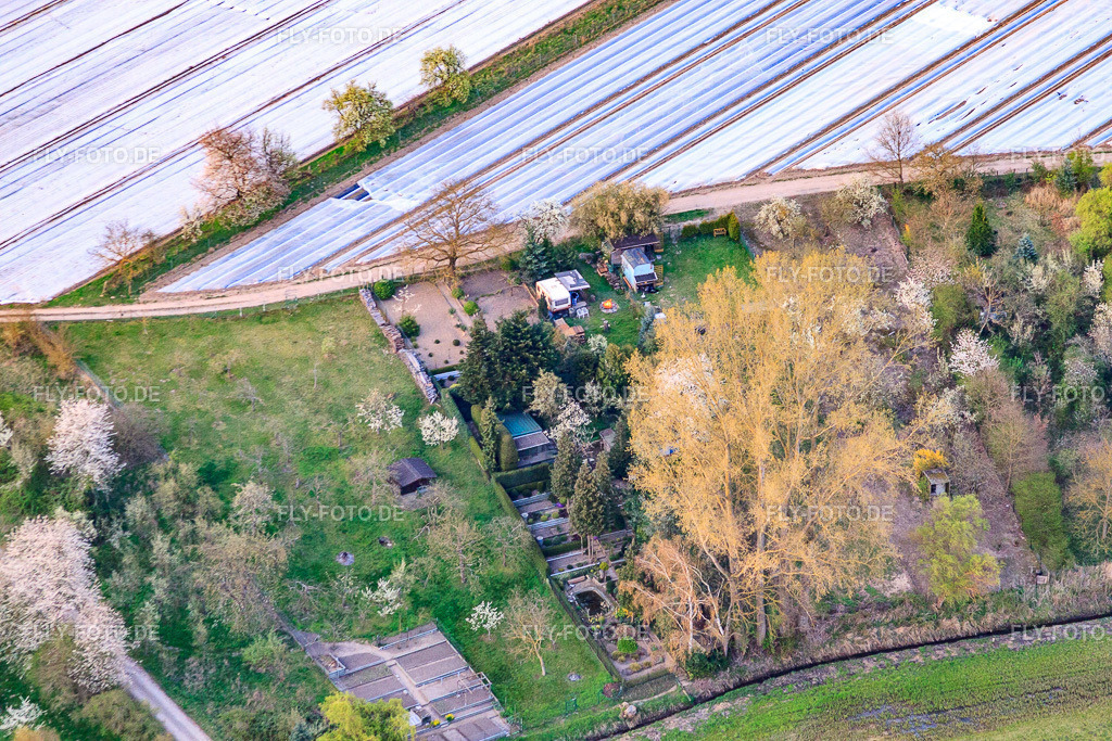 Gärten am Rheinzaberner Randgraben | Luftbild: Gärten am Rheinzaberner Randgraben in Rheinzabern im Bundesland Rheinland-Pfalz in Deutschland. Foto: IMG_63482.jpg vom 28.03.2014 durch Werner Riehm/FLY-FOTO.de - Realisiert mit Pictrs.com
