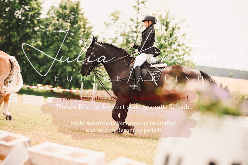 DSC_6315 | Pferde- und Turnierfotografie in Westsachsen. Pferdeportraits, Auftragszeichnungen und intuitive Kunst.