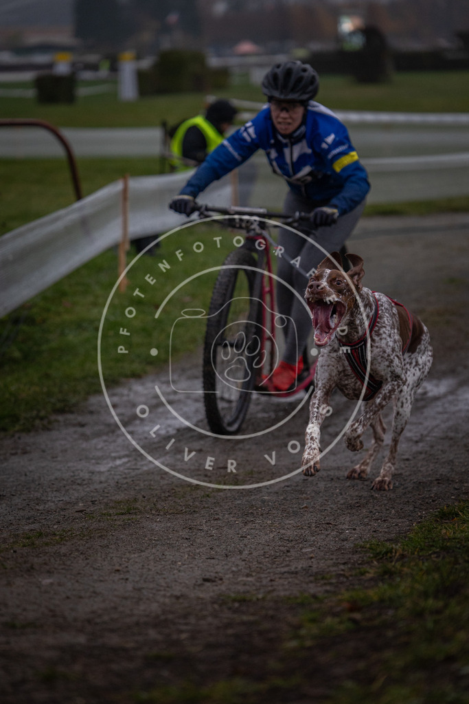 CaniXpix_0L8A0333 | Hundefotografie, Tierfotograf, Pfotenfotografie, Fotoshooting Hund, Hunde Portrait, Hundesport, Hundeportraits, Heideshooting, Hunde, Sportfotograf, Hundefotograf, Turnierhundsport, THS,  - Realisiert mit Pictrs.com