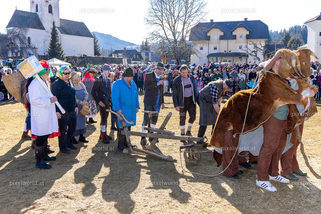 Bärentreiben in Steuerberg | Bildershop von pixelworld.at - Realisiert mit Pictrs.com