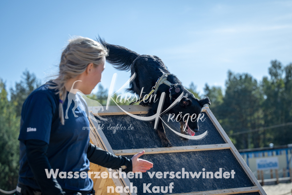 1237_ZZ93388-2 | kk-dogfotos
