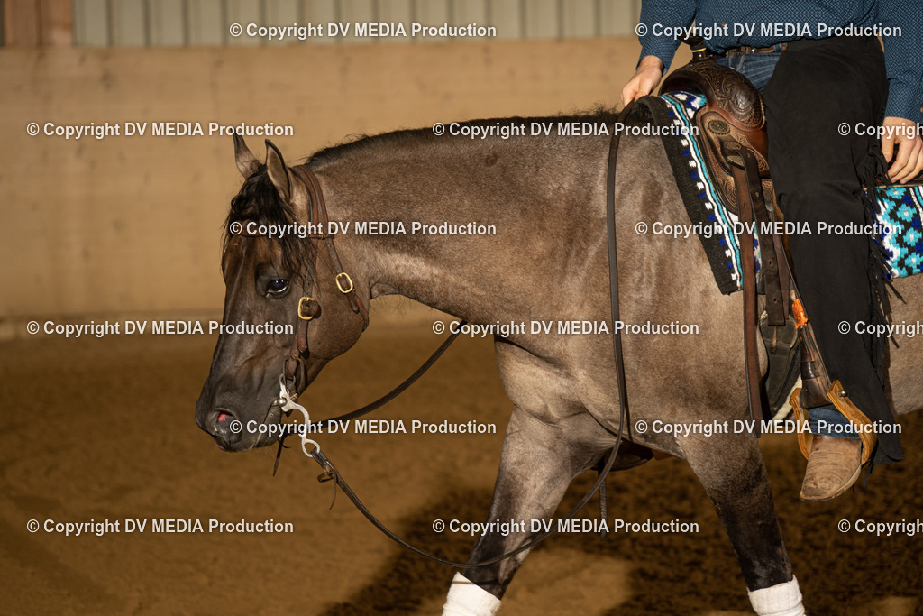 LAU00171 | dv-media-shop - Realisiert mit Pictrs.com