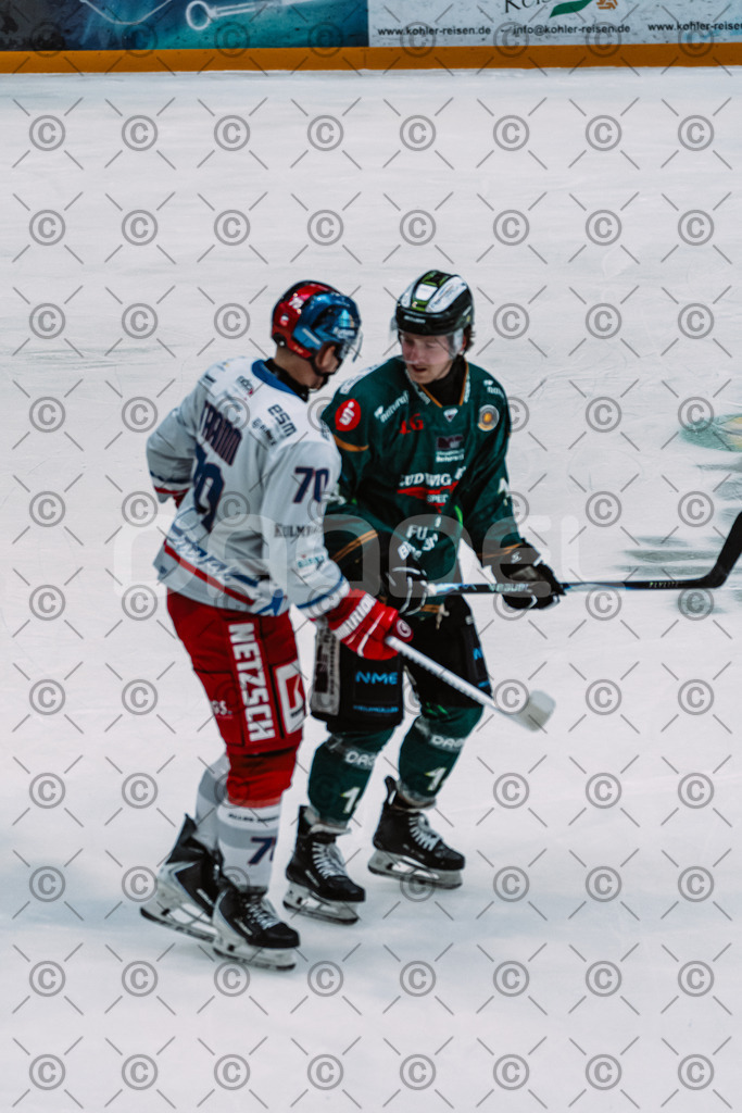 Alligators_vs_Selb_13_09_2026-45 | Die Fotogalerie von Daddel: professionelle Bilder von Sport, Events und Unternehmen aus Franken. Jetzt Galerien durchstöbern und Lieblingsfotos bestellen. - Realisiert mit Pictrs.com