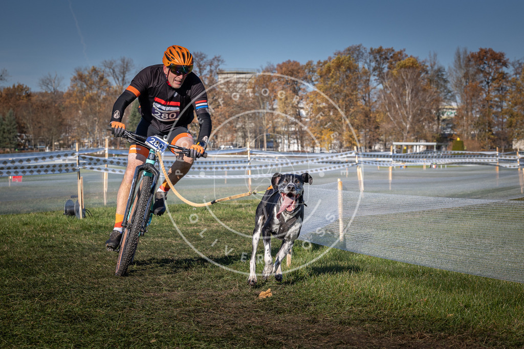 CaniXpix_0L8A5341 | Hundefotografie, Tierfotograf, Pfotenfotografie, Fotoshooting Hund, Hunde Portrait, Hundesport, Hundeportraits, Heideshooting, Hunde, Sportfotograf, Hundefotograf, Turnierhundsport, THS,  - Realisiert mit Pictrs.com