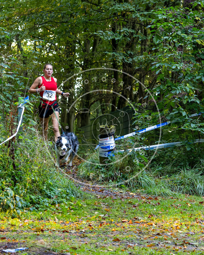 Pfotenfotografie_DV3A6669 | Hundefotografie, Tierfotograf, Pfotenfotografie, Fotoshooting Hund, Hunde Portrait, Hundesport, Hundeportraits, Heideshooting, Hunde, Sportfotograf, Hundefotograf, Turnierhundsport, THS,  - Realisiert mit Pictrs.com