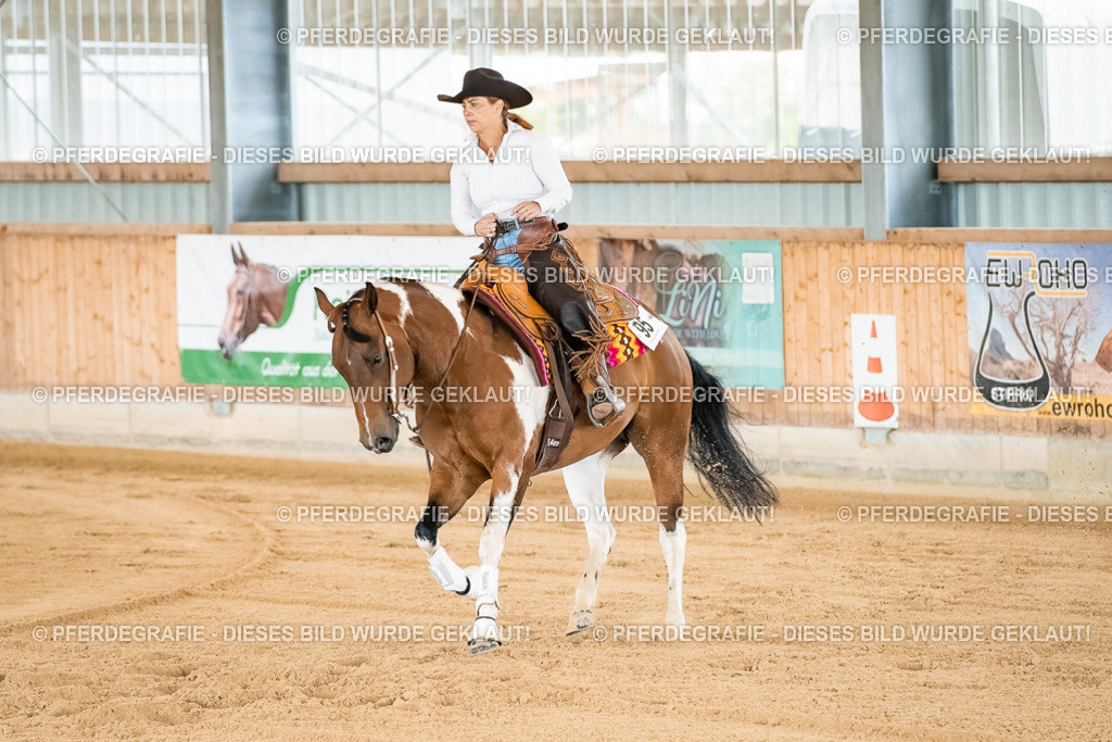 DSC01856 | Pferdegrafie