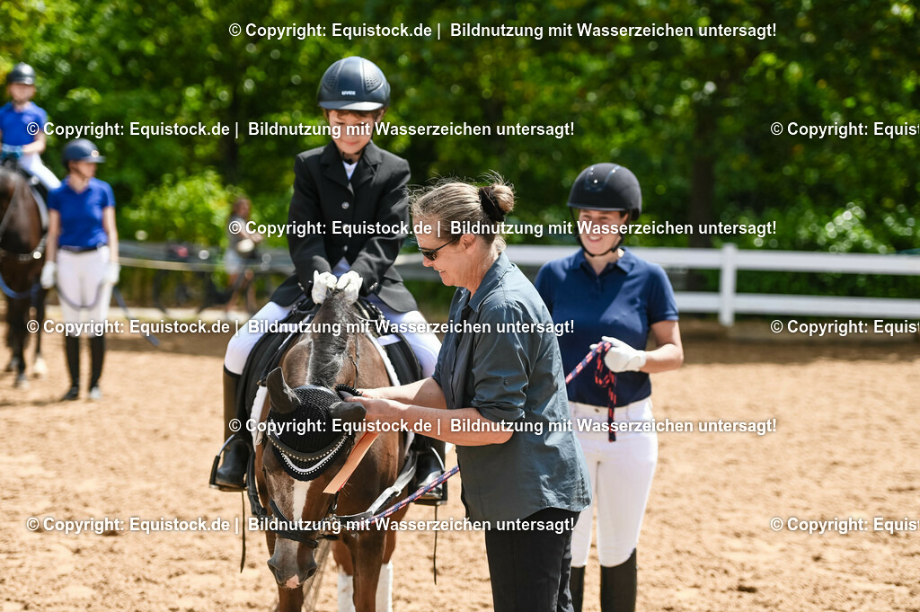 20230716_11_Führzügel-WB_0105 | equistock
