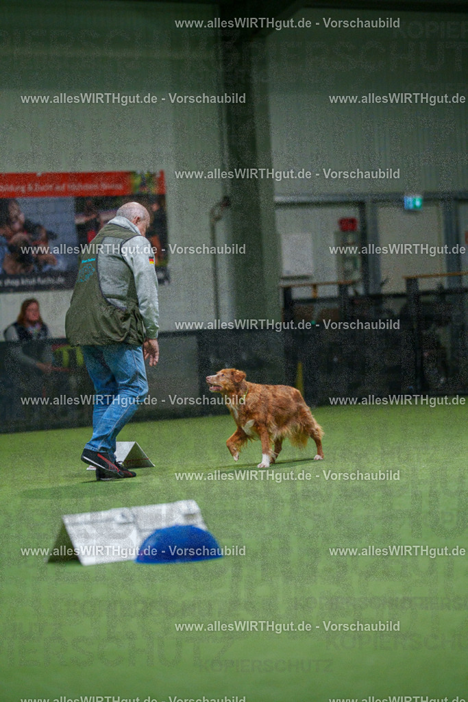 7R504358 | Professionelle Tierfotografie in Mönchengladbach von Daniel Wirth (allesWIRTHgut). Liebevolle & natürliche Bilder von Hunden & Katzen für unvergessliche Erinnerungen.
