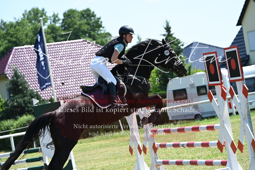 DSC_0709 | Pferde- und Turnierfotografie in Westsachsen. Pferdeportraits, Auftragszeichnungen und intuitive Kunst.