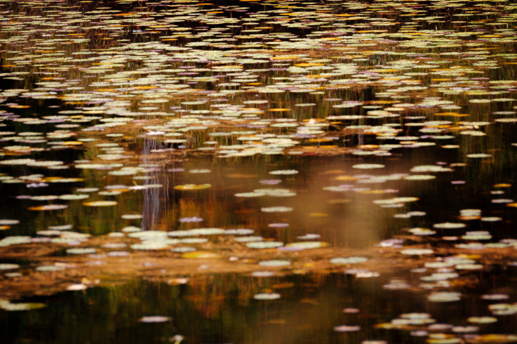 SilvanoPedrett_preview_Wasser-32 | silvanopedrett - Realisiert mit Pictrs.com