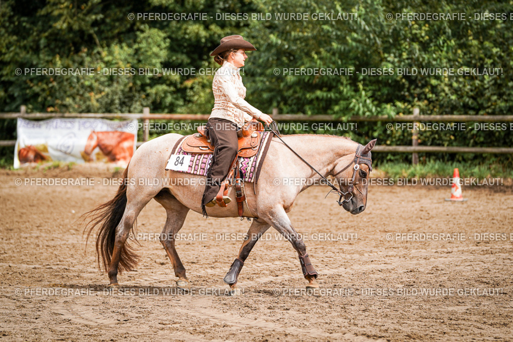 DSC04678 | Pferdegrafie