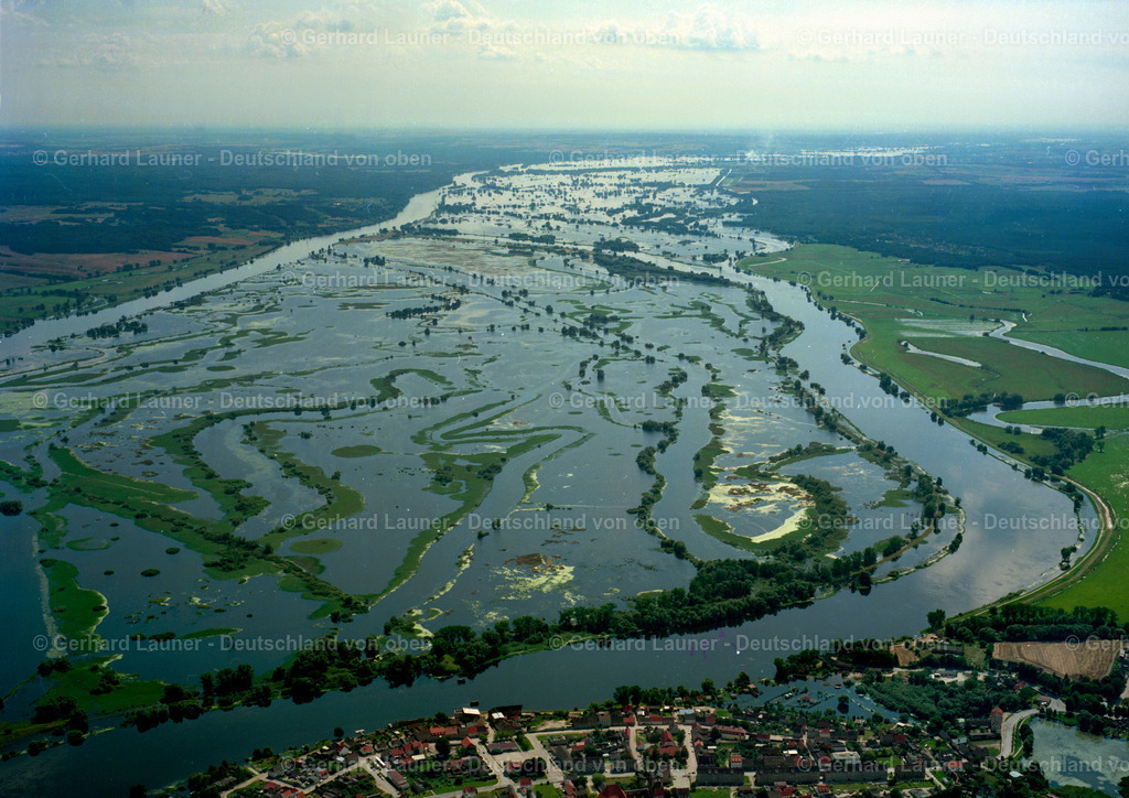 9101190 | Überschwemmung im Nationalpark Unteres Odertal bei Gartz
