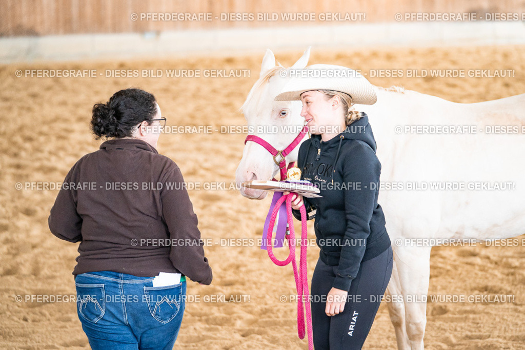 DSC01218 | Pferdegrafie