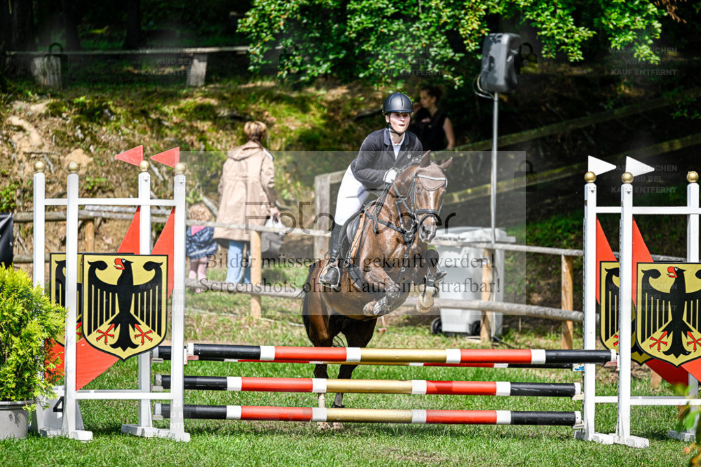 Bissendorfer Reitertage | Entdecke hochwertige Reitturnierfotos von Foto Oger. Professionell, emotional und authentisch – jetzt Lieblingsmomente im Shop bestellen. - Realisiert mit Pictrs.com