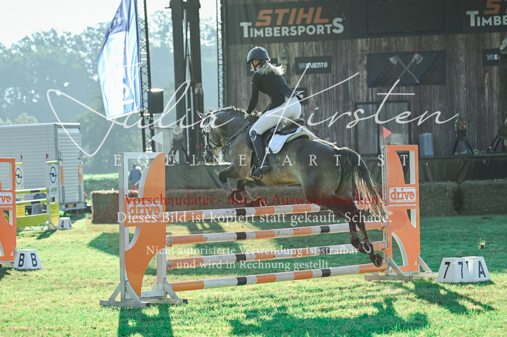 DSC_4472 | Pferde- und Turnierfotografie in Westsachsen. Pferdeportraits, Auftragszeichnungen und intuitive Kunst.