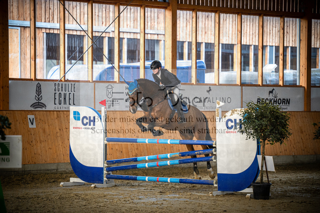 DOS_1531 | Entdecke hochwertige Reitturnierfotos von Foto Oger. Professionell, emotional und authentisch – jetzt Lieblingsmomente im Shop bestellen.Deutschlandweite Turnierfotografie. - Realisiert mit Pictrs.com