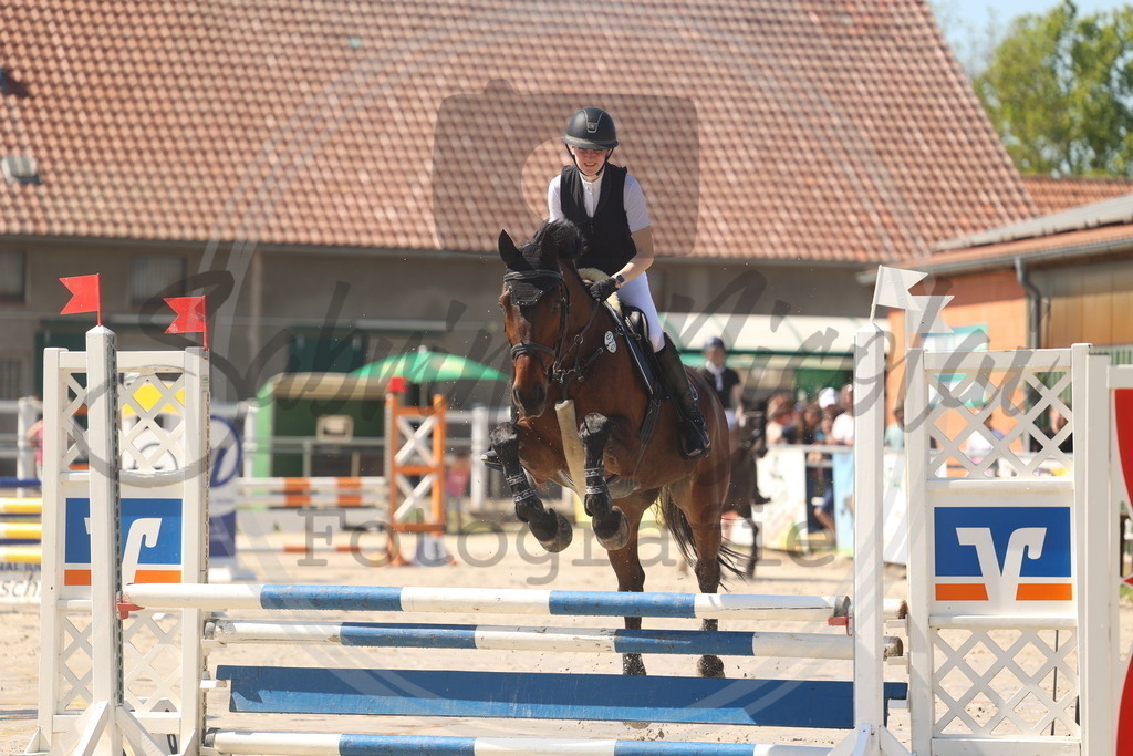 994A5920 | sabrinanicolaifotografie - Realisiert mit Pictrs.com