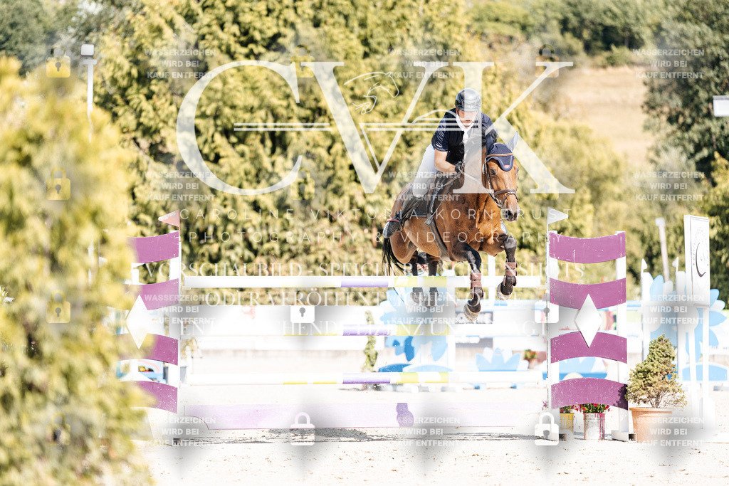 CK909037 | Turnierfotografie Pferdefotografie Trier Rheinland-Pfalz Pferdesport Reitsport Tierfotografie Sportfotografie Pferdevideo Pferdevideografie Equestrianvideography equestrianphotography  - Realisiert mit Pictrs.com