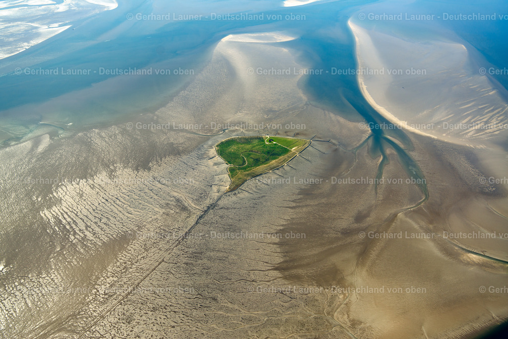 3801595 | Hallig Südfall, Nationalpark Schleswig-Holsteinisches Wattenmeer.