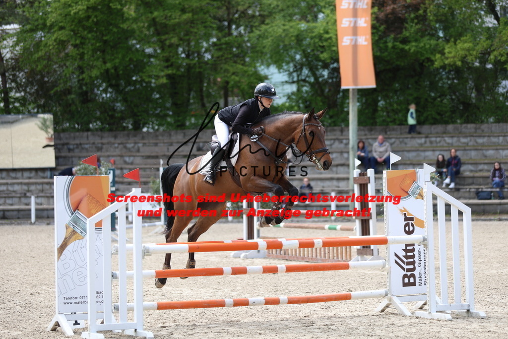 A40A2159 | lmwpictures - Realisiert mit Pictrs.com