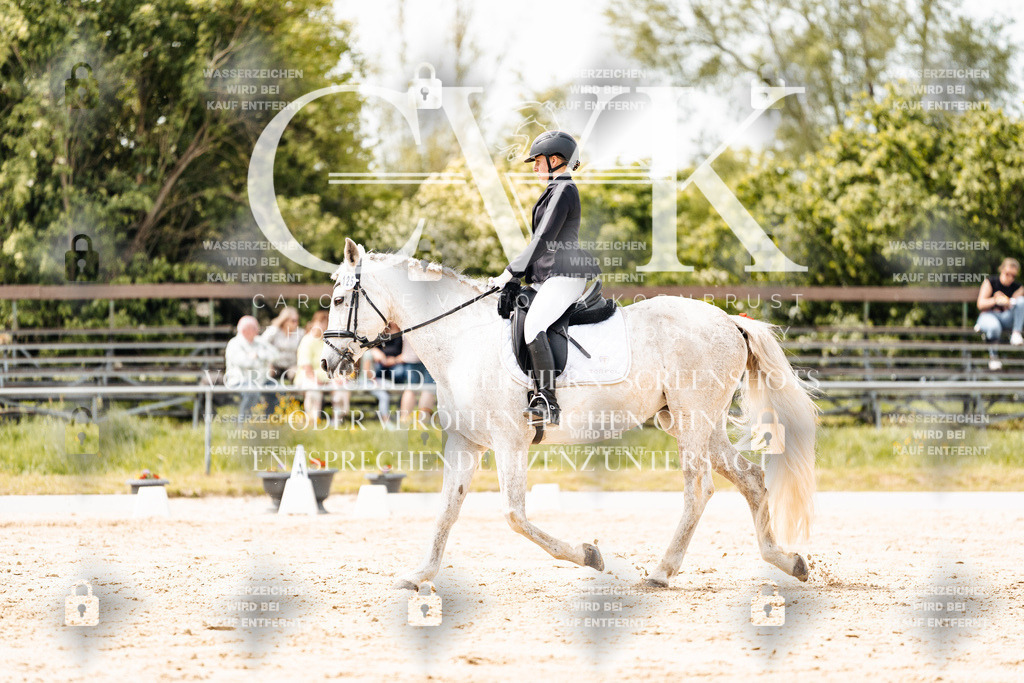 CK902470 | Turnierfotografie Pferdefotografie Trier Rheinland-Pfalz Pferdesport Reitsport Tierfotografie Sportfotografie Pferdevideo Pferdevideografie Equestrianvideography equestrianphotography  - Realisiert mit Pictrs.com