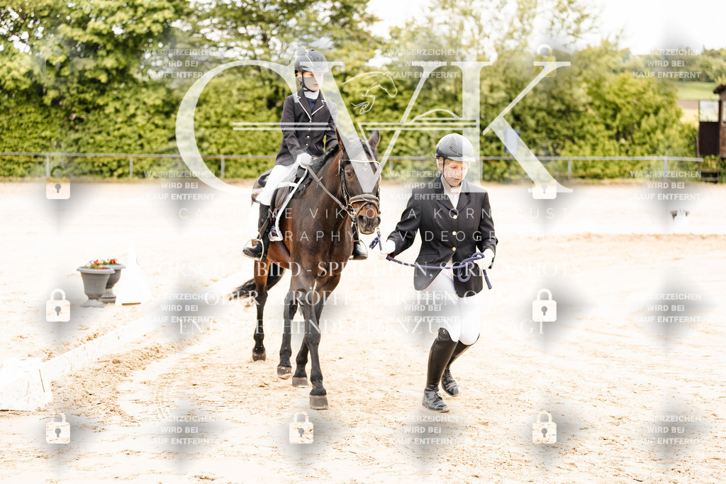 CK903681 | Turnierfotografie Pferdefotografie Trier Rheinland-Pfalz Pferdesport Reitsport Tierfotografie Sportfotografie Pferdevideo Pferdevideografie Equestrianvideography equestrianphotography  - Realisiert mit Pictrs.com