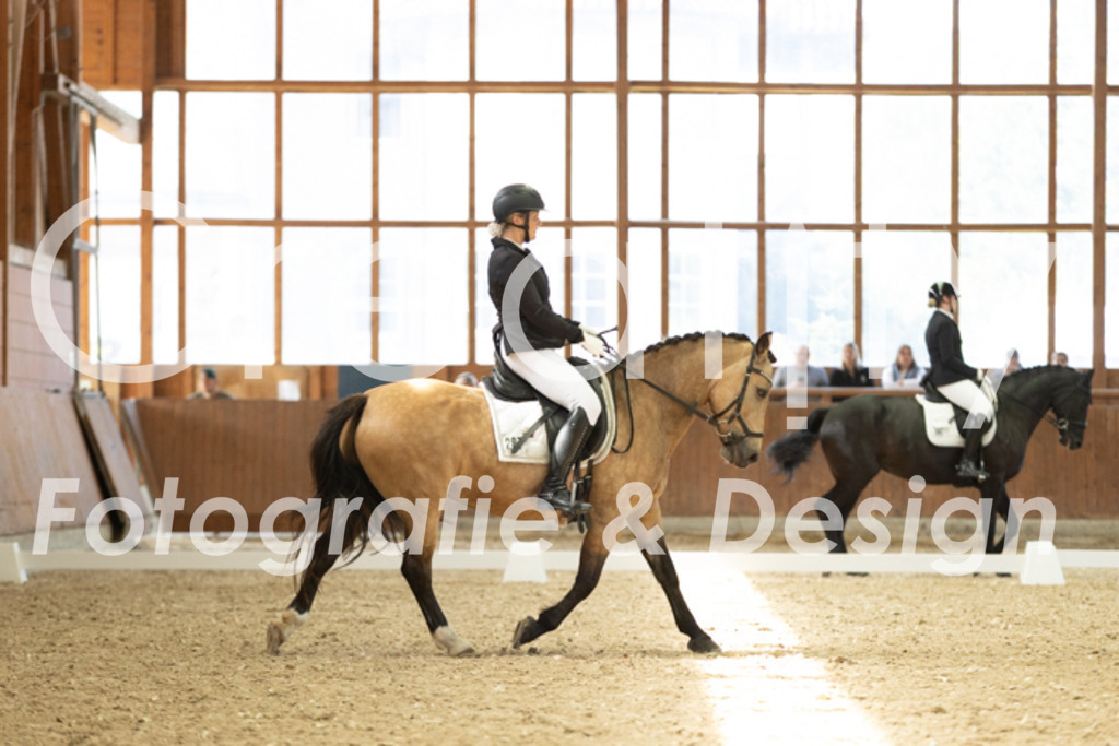 IMG_5486 | Creatify Fotografie