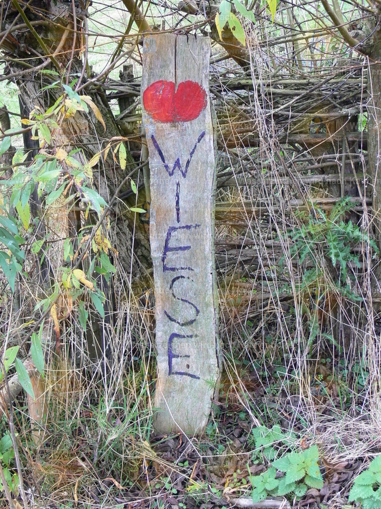 P1080445 | Fotoseite Wolkenblende - Das Hobby fotografieren begleitet mich schon  viele  Jahre. Auf den nächsten Seiten zeige ich ein paar Schnappschüsse der letzten Jahre und es kommen immer neue hinzu. Schau einfach mal rein. - Realisiert mit Pictrs.com