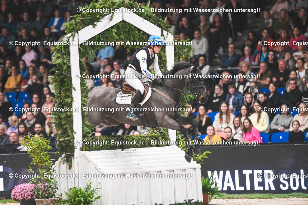 20251112_Indoor-Derby_TOMSPIC_0178 | Foto: Thomas Hartig