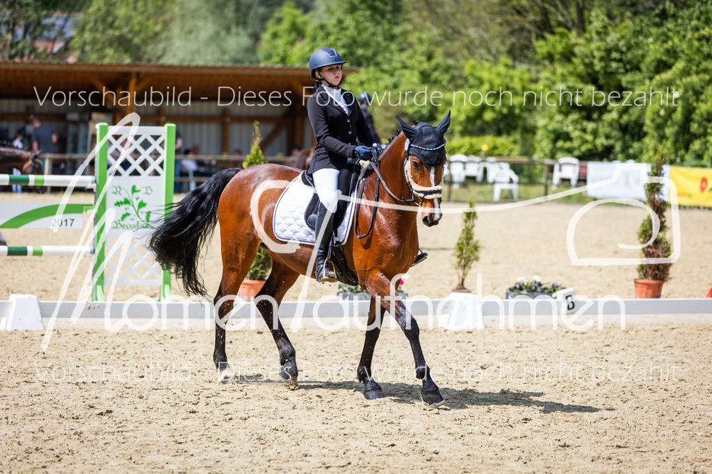 Donop24-EDre-039 | MomenTaufnahmen Pferdesportfotos