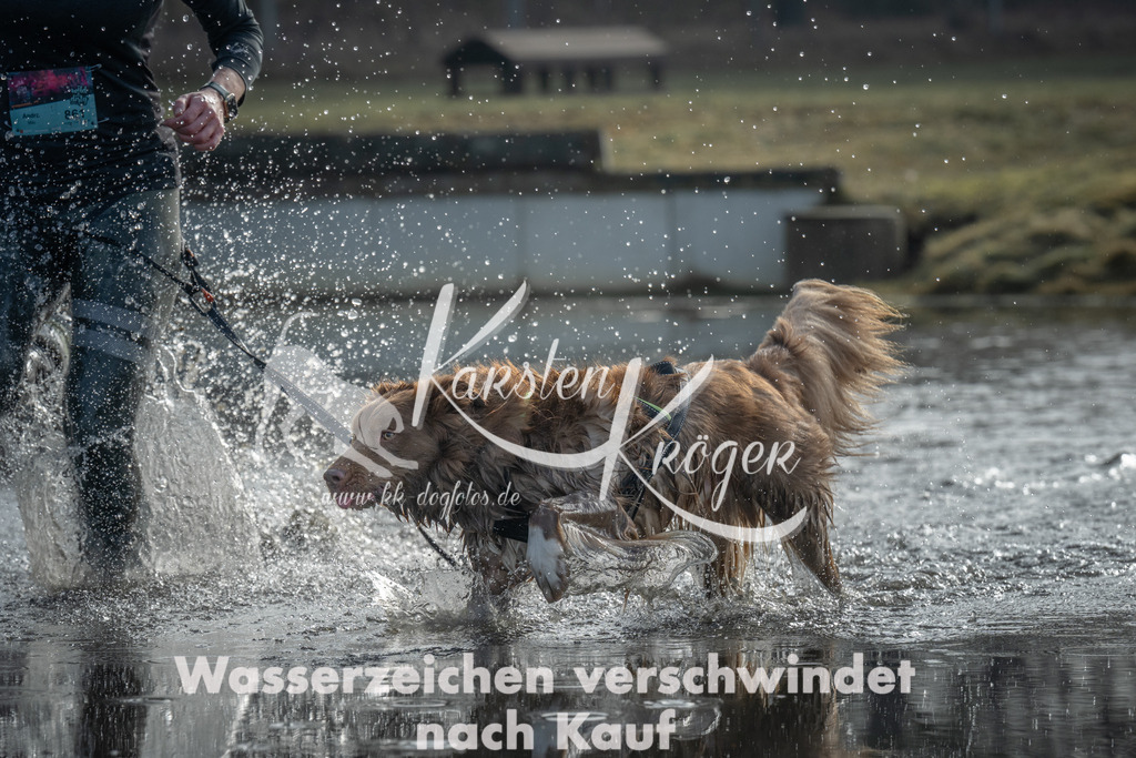 1008_ZZ95851 | kk-dogfotos